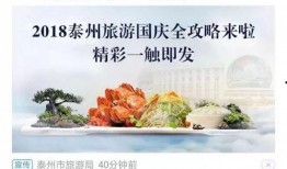 江苏最新爆料新闻报道,揭秘重大事件背后真相