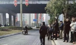 郑州环卫工人爆料视频,揭示城市清洁背后的辛酸与挑战