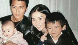 张柏芝谢霆锋娱乐圈爆料,娱乐圈的恩怨情仇大揭秘